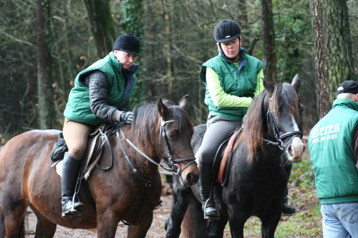 3 welsh cob cascob nia en commando 12 2007